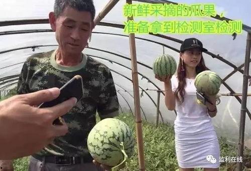 吃瓜赛道直播,揭秘网红吃瓜赛道背后的精彩故事